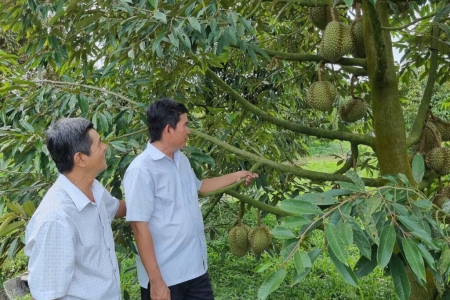 Vai trò của kinh tế tập thể, hợp tác xã trong phát triển kinh tế xanh