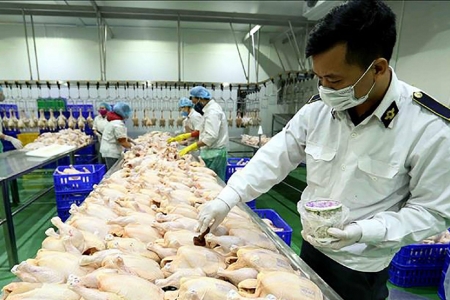 Hà Nội lập đoàn kiểm tra liên ngành giám sát quản lý giết mổ tại 126 xã, phường