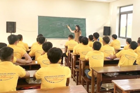 Quảng Trị chú trọng đào tạo nghề, mở rộng cơ hội việc làm và nâng cao chất lượng nguồn nhân lực trẻ