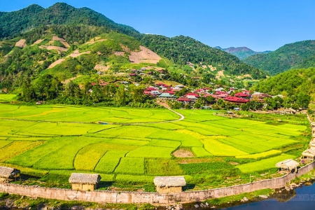 Kinh tế tập thể - động lực thúc đẩy phát triển kinh tế địa phương