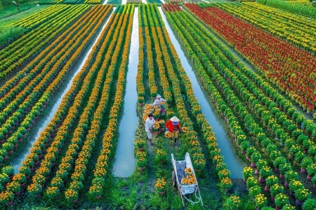 Kinh tế tập thể, hợp tác xã - giá trị hợp tác vì lợi ích chung