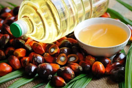 Ấn Độ đẩy mạnh nhập khẩu dầu cọ từ Đông Nam Á