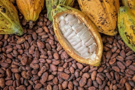 Chỉ số MXV-Index xuống mức thấp nhất trong vòng gần một tháng