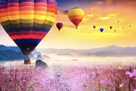 Quảng Ngãi tổ chức chuỗi hoạt động “Chào năm mới 2026”