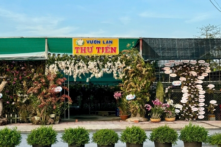 Đồng Tháp: 68 đơn vị tham gia Hội thi trang trí Cổng hoa - Đường hoa - Vườn hoa đẹp