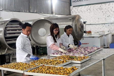 Phát triển hợp tác xã, liên hiệp hợp tác xã góp phần xây dựng nông thôn mới