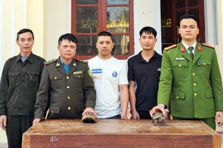 Hà Tĩnh: Tiếp nhận 2 cá thể rùa quý hiếm để thả về môi trường tự nhiên