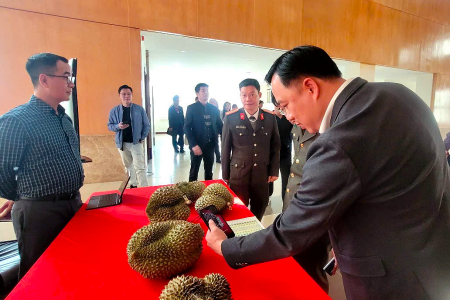 Thí điểm truy xuất nguồn gốc sầu riêng từ đầu năm 2026