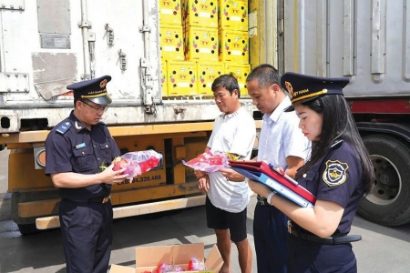 Cục Hải quan yêu đầu bảo đảm hoạt động thông quan trong 4 ngày nghỉ Tết Dương lịch