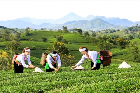 Hoàn thiện khung pháp lý cho các chương trình mục tiêu quốc gia