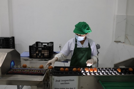 Lâm Đồng: Dự án “Trứng gà thảo dược Đà Lạt” lọt vào “mắt xanh” của các nhà đầu tư