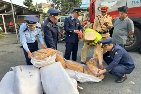 Hà Tĩnh: Thu giữ và tiêu hủy 300kg ruốc bông mốc hỏng, không rõ nguồn gốc