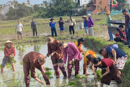 Đà Nẵng: Độc đáo Lễ hội xuống đồng Hội An Đông 2026 thu hút đông đảo khách du lịch