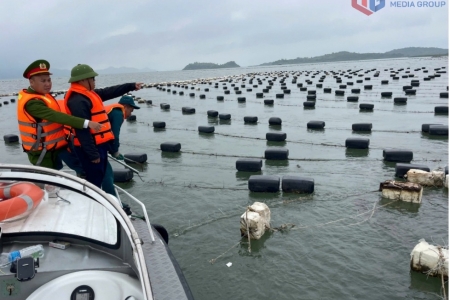 Quảng Ninh: Xã Đầm Hà xử lý, tháo dỡ 4,5ha nuôi trồng thủy sản trái phép
