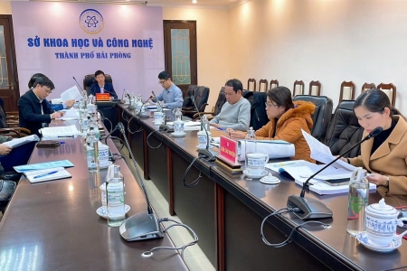 Hải Phòng: Nghiên cứu phục tráng giống khoai sọ Miễu Sơn - Thái Học góp phần nâng cao chất lượng sản phẩm OCOP