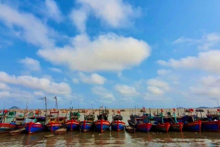 Thành lập Ban Quản lý Cảng cá và Đăng kiểm tàu cá Thanh Hóa