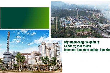 Đẩy mạnh công tác quản lý và bảo vệ môi trường trong các khu công nghiệp, khu kinh tế