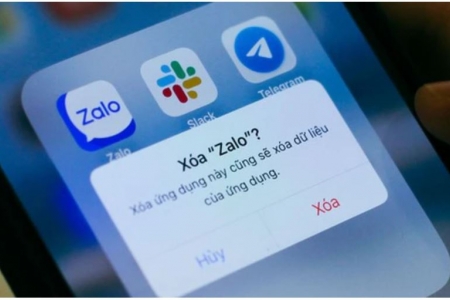Vì sao Zalo và TikTok bị phạt hơn 1,6 tỷ đồng?
