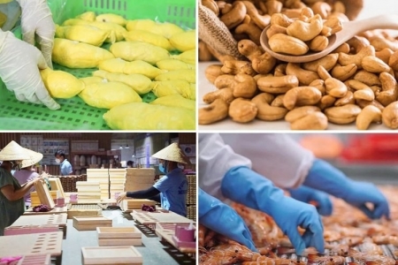 Nông nghiệp Việt Nam từ quốc gia thiếu đói đến cường quốc nông sản 70 tỷ USD