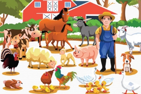 Ngành chăn nuôi Đồng Tháp hướng tới sản xuất bền vững