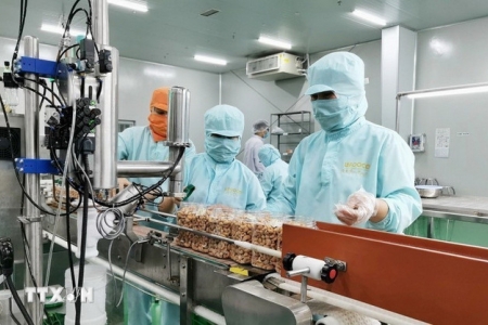 Nghị quyết 79-NQ/TW: Kinh tế Nhà nước dẫn dắt, kích hoạt kinh tế tư nhân