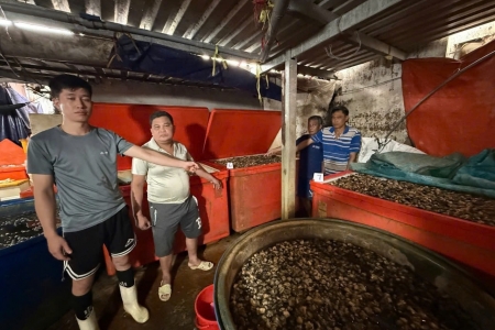 Triệt phá “xưởng” ngâm ốc bằng hóa chất công nghiệp: Hồi chuông cảnh báo về an toàn thực phẩm
