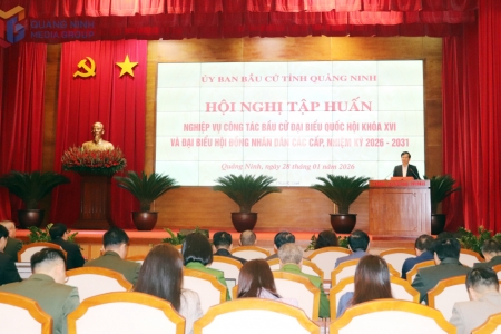 Quảng Ninh: Tập huấn nghiệp vụ bầu cử cho đội ngũ cán bộ cơ sở