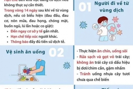 Gia Lai chủ động công tác phòng, chống dịch bệnh do vi rút Nipah