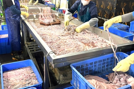 Hà Nội thu giữ số lượng lớn nguyên liệu thực phẩm không rõ nguồn gốc