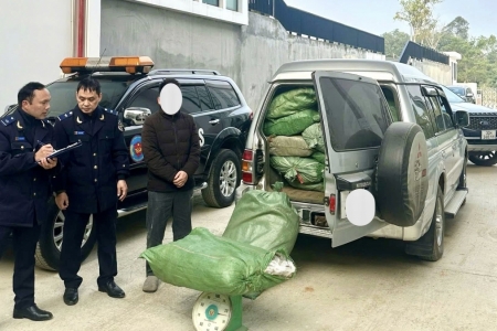 Hải quan khu vực XVI: Liên tiếp bắt giữ nhiều vụ vận chuyển lá thuốc lá trái phép