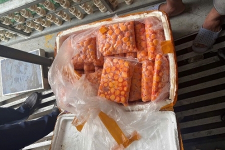 Hà Nội: Phát hiện, thu giữ hơn 12 tấn thực phẩm không rõ nguồn gốc trị giá trên 1 tỷ đồng