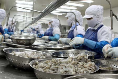 Thực phẩm Sao Ta khởi đầu năm 2026 ảm đạm, doanh thu tháng 1 giảm 21%