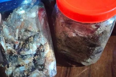 Cảnh báo ngộ độc độc tố Botulinum nguy hiểm từ món cá ủ chua