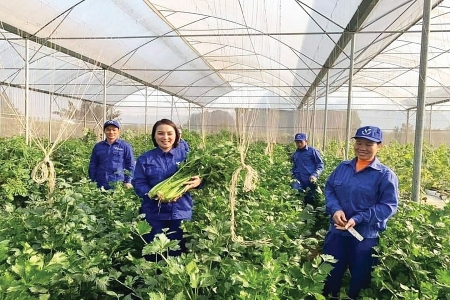 Doanh nghiệp nông sản bước vào “đường băng” tăng trưởng mới năm 2026