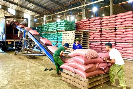 Gia Lai hỗ trợ pháp lý liên ngành cho doanh nghiệp nhỏ và vừa, hộ kinh doanh giai đoạn 2026-2030