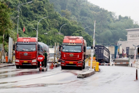 Lạng Sơn: Tổng kim ngạch xuất nhập khẩu hàng hóa đạt hơn 10,1 triệu USD trong dịp Tết