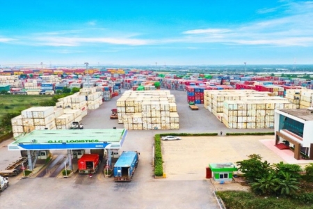 VSC Green Logistics lên kế hoạch phát hành hơn 12 triệu cổ phiếu, chia cổ tức 10%