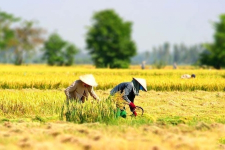 Nâng cao nhận thức về đào tạo nghề lao động nông thôn đối với phát triển kinh tế - xã hội