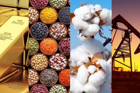 Đề xuất xây dựng Luật Giao dịch hàng hóa phái sinh, hoàn thiện hành lang pháp lý cho thị trường