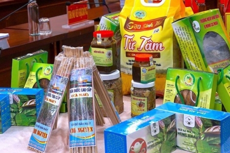 Cà Mau công nhận thêm 32 sản phẩm OCOP năm 2025, mở rộng bản đồ đặc sản đạt chuẩn