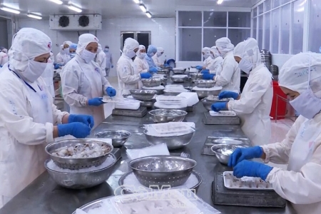 Cà Mau đẩy mạnh cải cách, tạo cú hích cho kinh tế tư nhân bứt phá