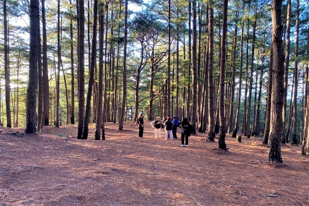 Lâm Đồng: Khám phá cung đường leo núi xuyên rừng đẹp bậc nhất Đà Lạt
