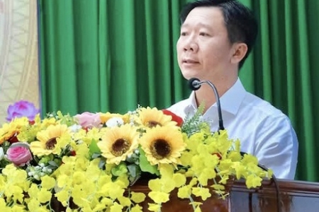 Gia Lai: Tổng giám đốc Becamex Bình Định ứng cử đại biểu HĐND tỉnh