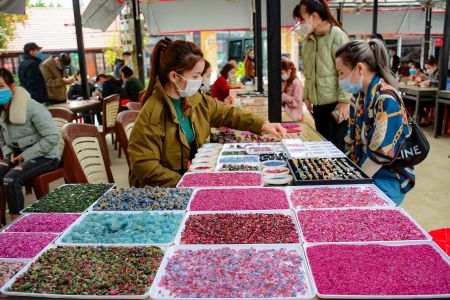 Lào Cai: Nhiều hoạt động đặc sắc tại chương trình du lịch “Về miền đất Ngọc” năm 2026