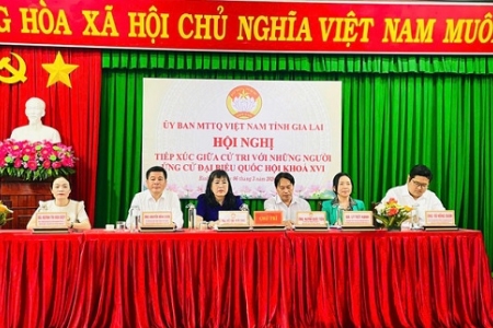 Gia Lai: Chủ tịch Hội Doanh nhân trẻ ứng cử đại biểu Quốc hội