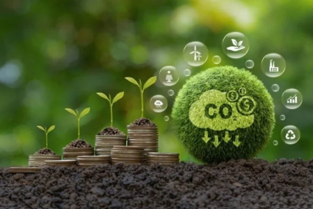 Việt Nam tăng cường hợp tác ASEAN trong triển khai sáng kiến carbon xanh dương