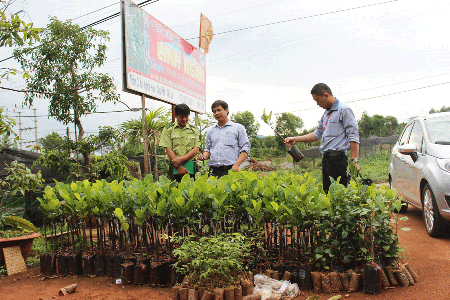 Tăng cường xử lý vi phạm trong kinh doanh giống cây trồng và vật tư nông nghiệp
