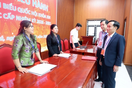 Hà Nội: Cử tri Hòa Phú háo hức tham gia Ngày hội bầu cử 15/3