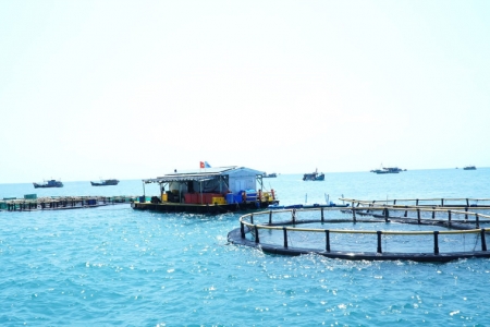 Cà Mau: Xem xét dự án nuôi biển công nghệ cao tại Hòn Chuối