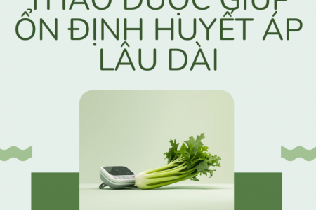 Bí quyết giúp kiểm soát huyết áp bền vững cho người cao tuổi